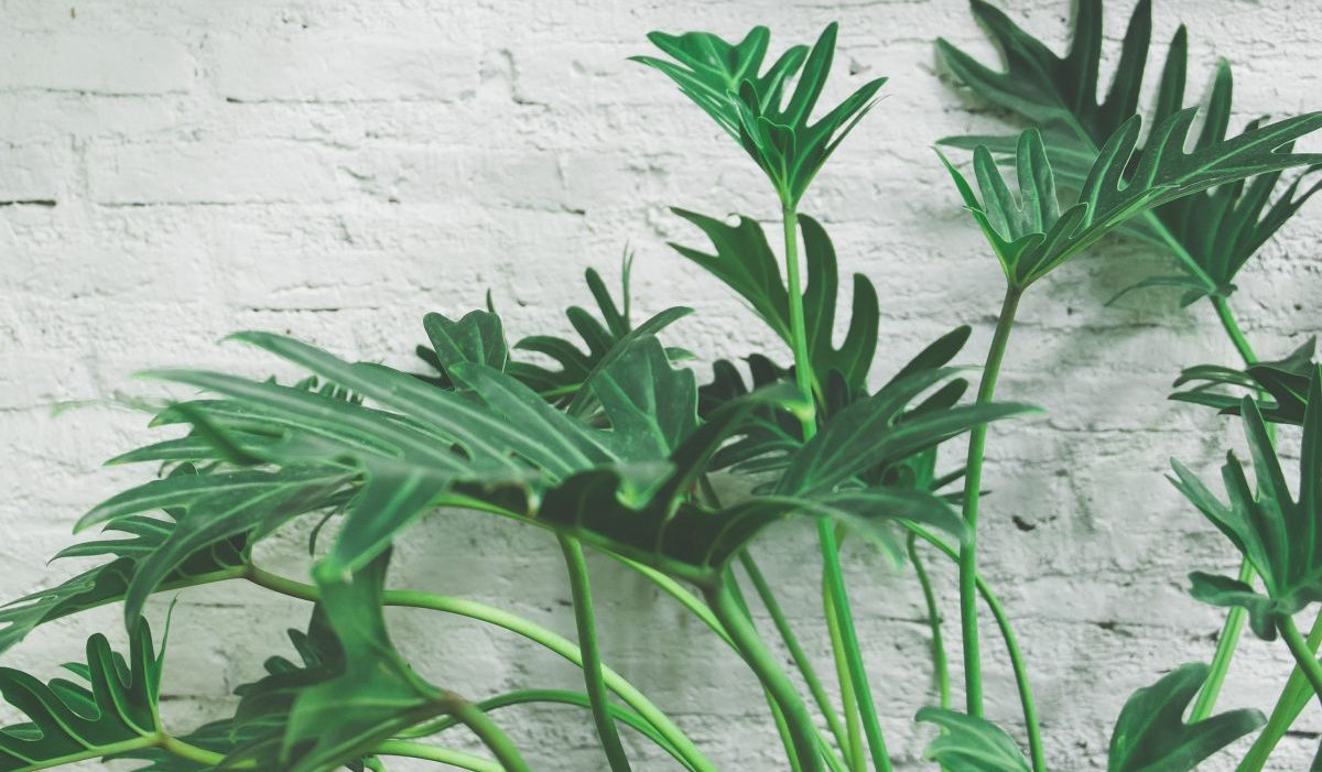 indoor_air_quality indoor_air_quality