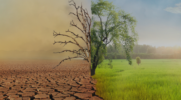 An Image showcasing healthy earth and unhealthy earth with Climate Change