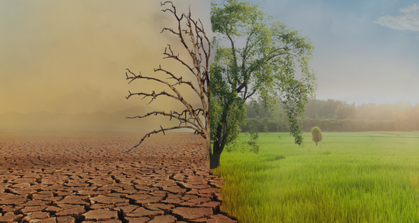SEC Mandatory Climate Disclosure Regulations and Their Potential Impact An Image showcasing healthy earth and unhealthy earth with Climate Change