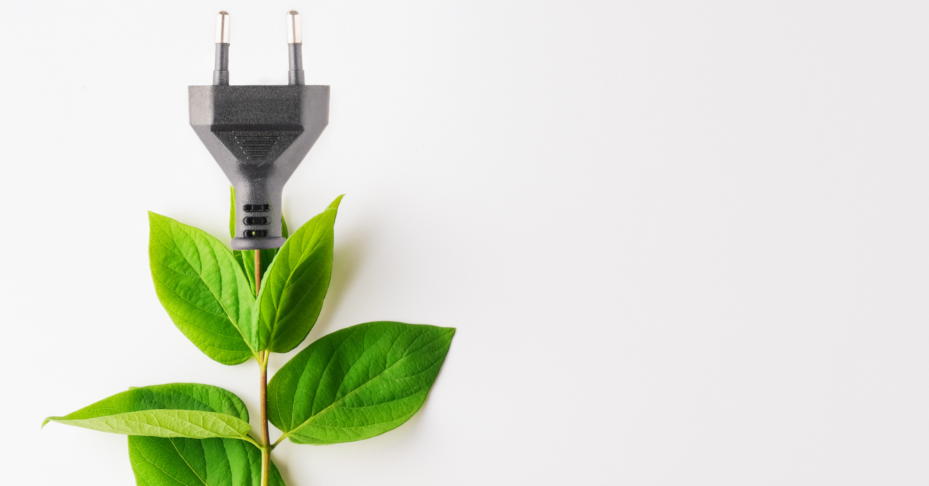 Carbon Neutral Copper Tree Analytics (5) Carbon Neutral Copper Tree Analytics (5)