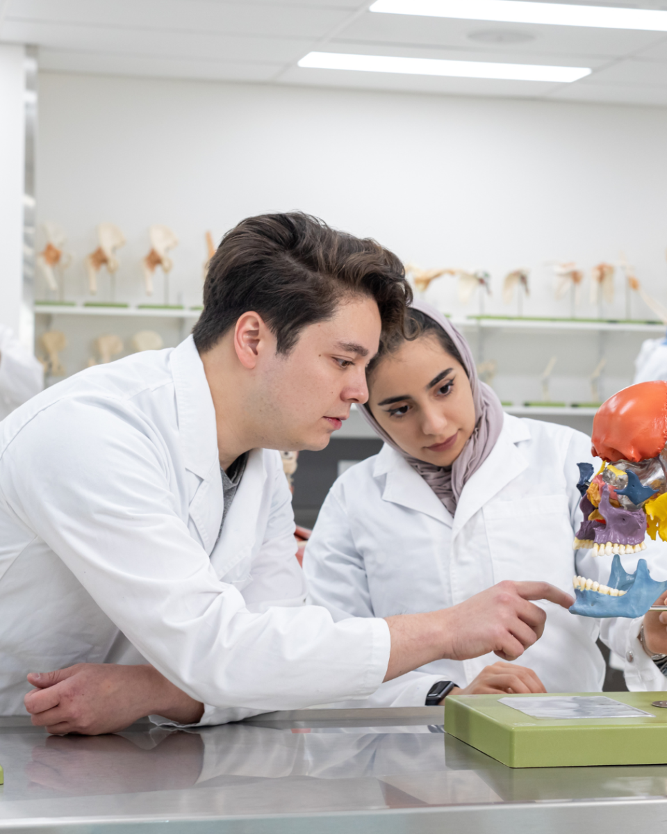 Kaizen FDD Delta-T Analysis for a University Research Facility