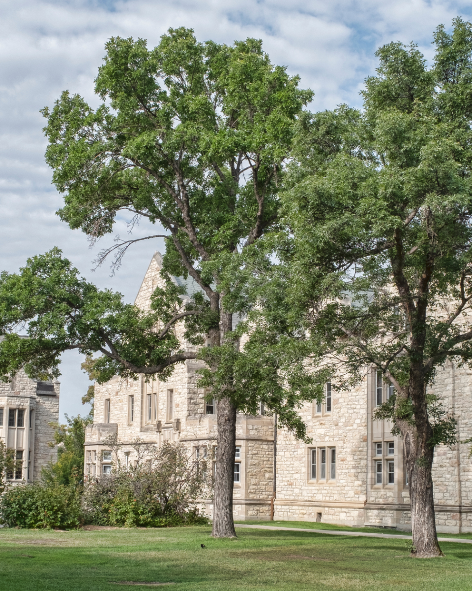 fault detection and diagnostics (19) fault detection and diagnostics (19)