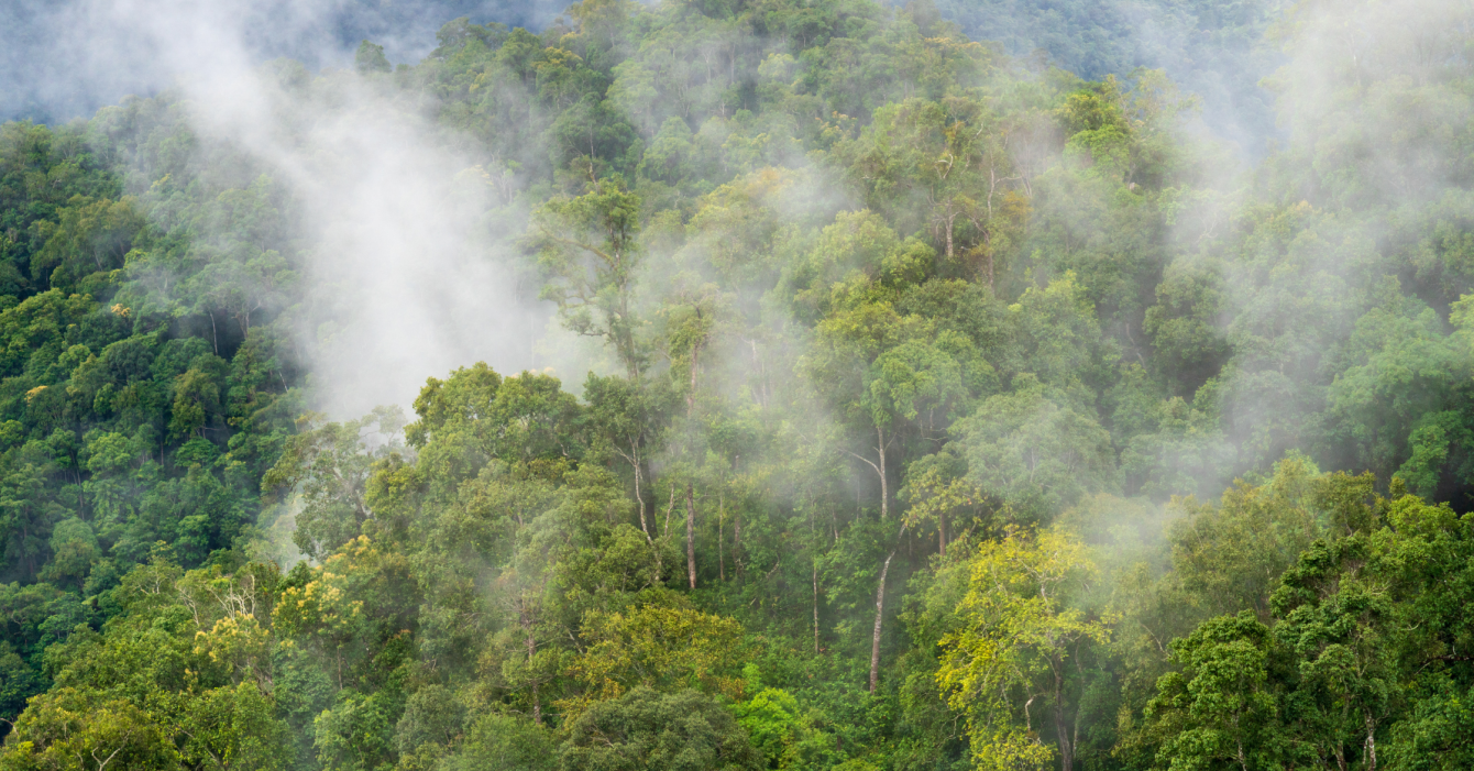 fault detection and diagnostics (9) fault detection and diagnostics (9)