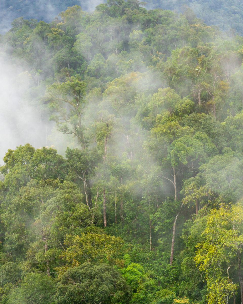 fault detection and diagnostics (9) fault detection and diagnostics (9)