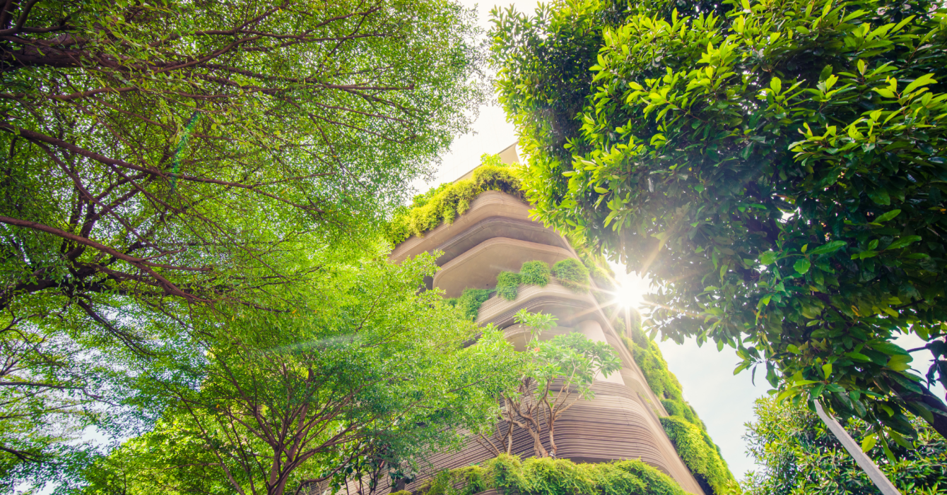 Untitled design (79) Untitled design (79)