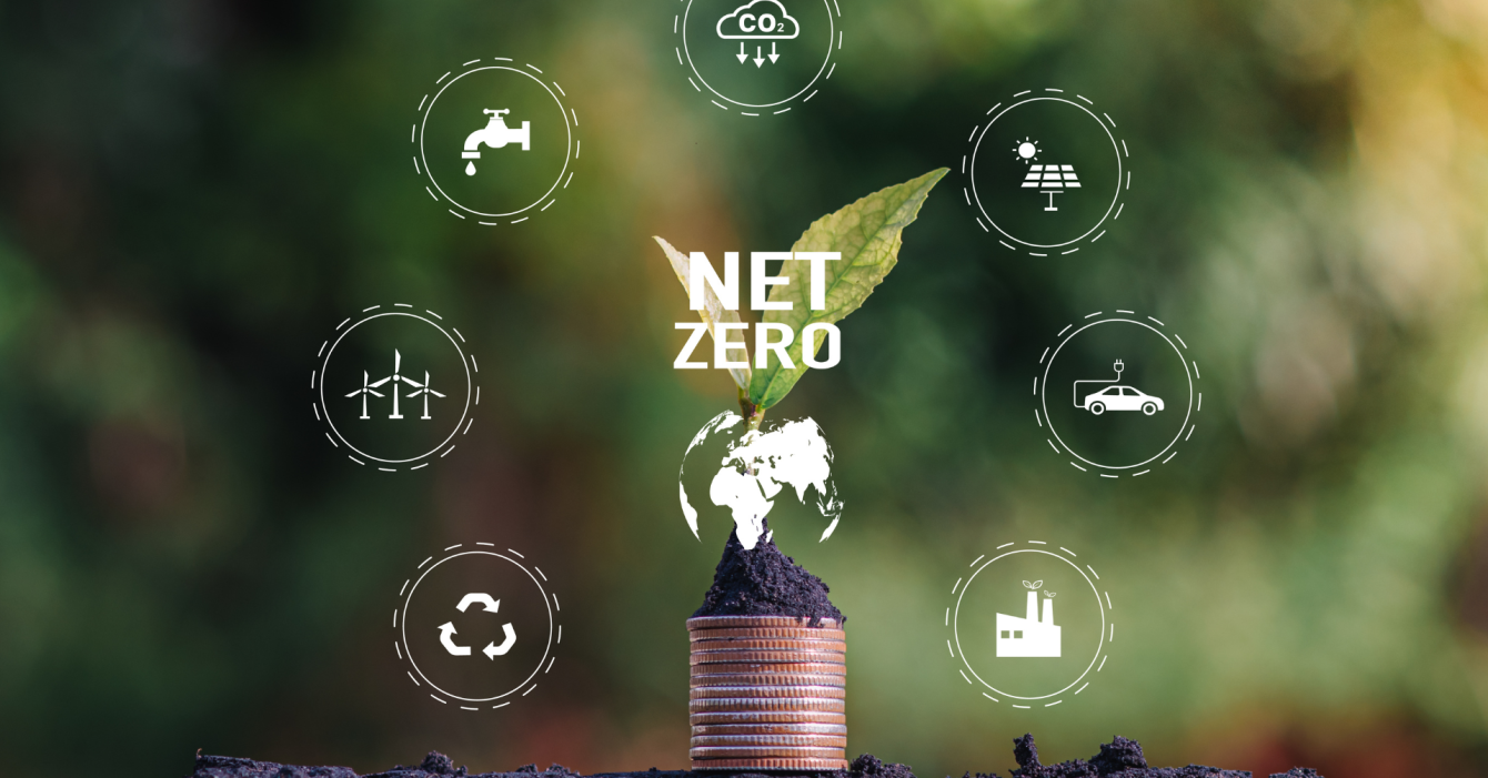 Untitled design (83) Untitled design (83)