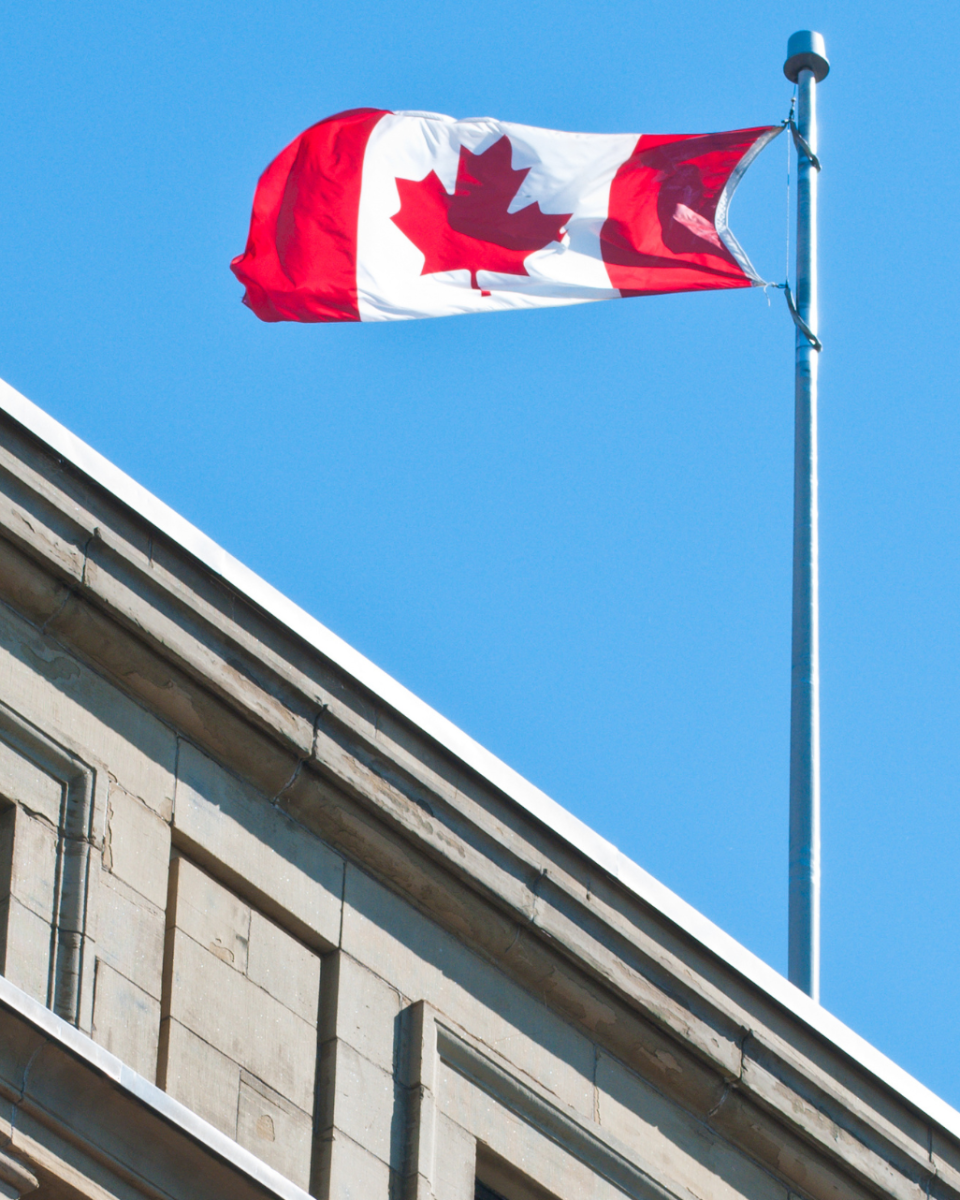 Untitled design (94) Untitled design (94)