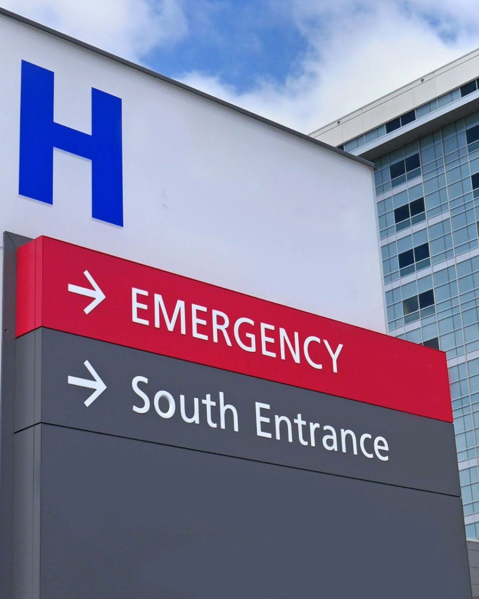 Your paragraph text (3) Your paragraph text (3)