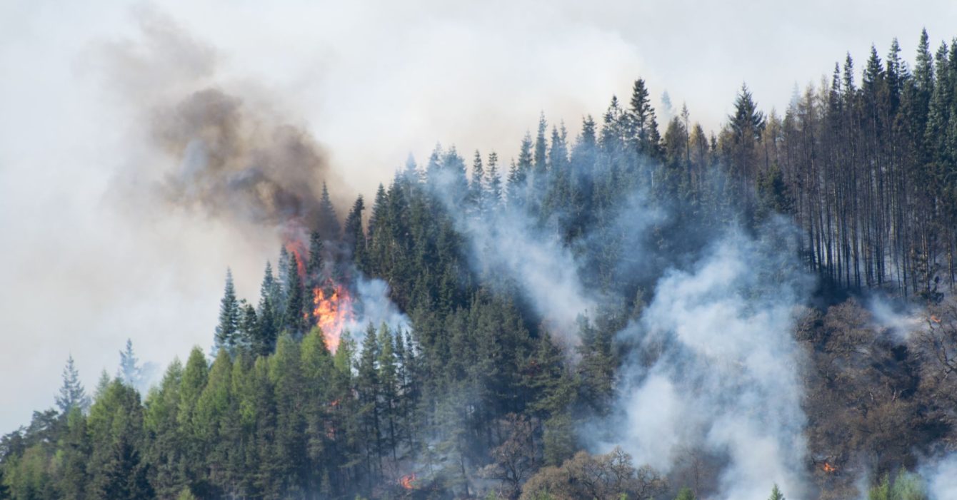 australia case study australia case study